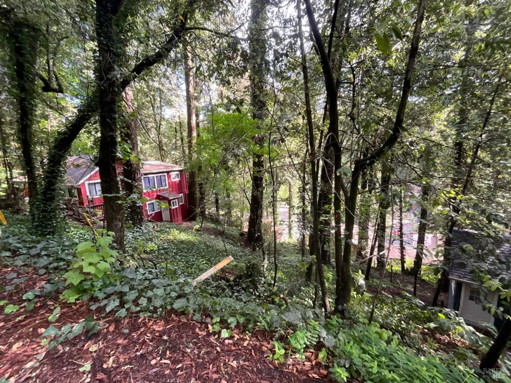 14712 Eagle Nest Lane Guerneville, CA 95446