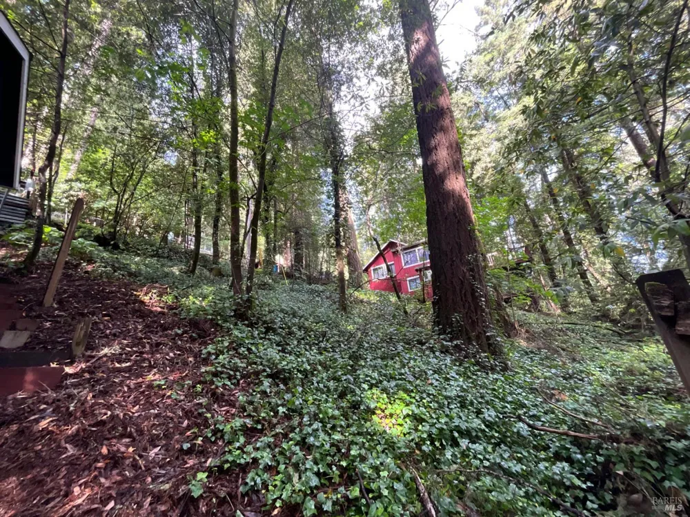 14712 Eagle Nest Lane Guerneville, CA 95446