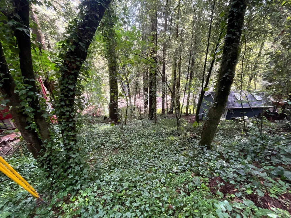 14712 Eagle Nest Lane Guerneville, CA 95446