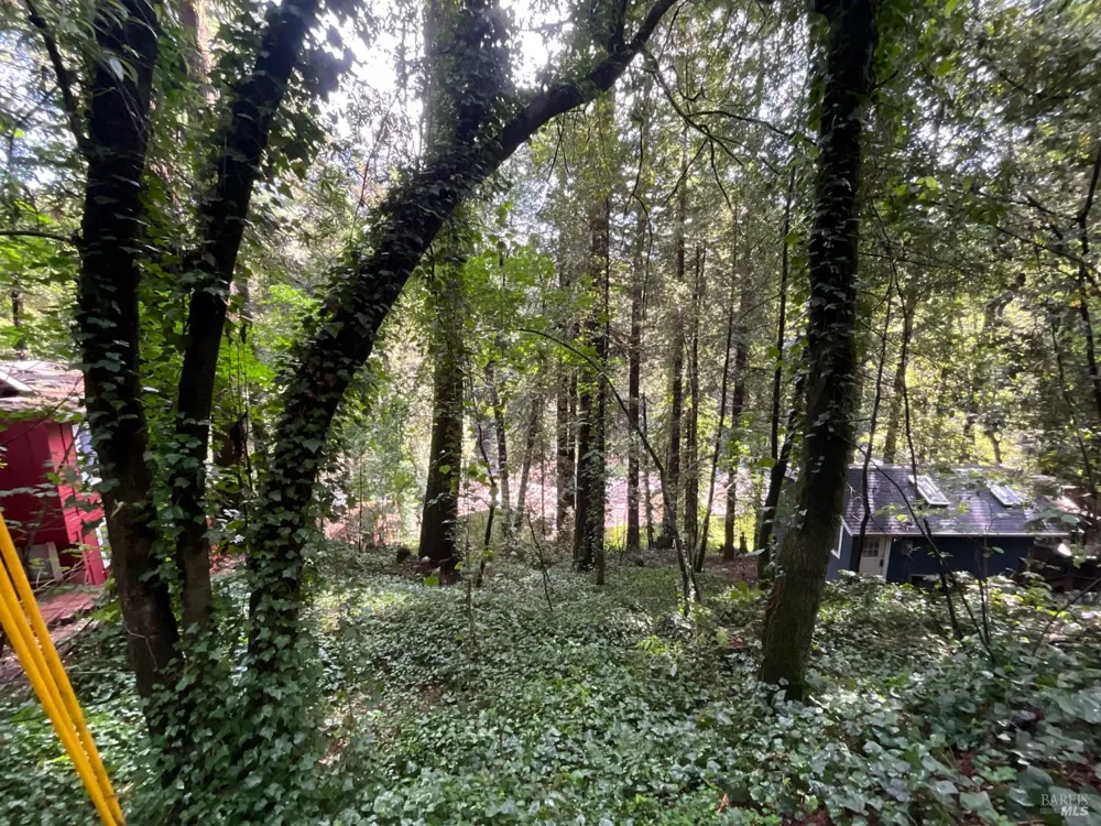 14712 Eagle Nest Lane Guerneville, CA 95446