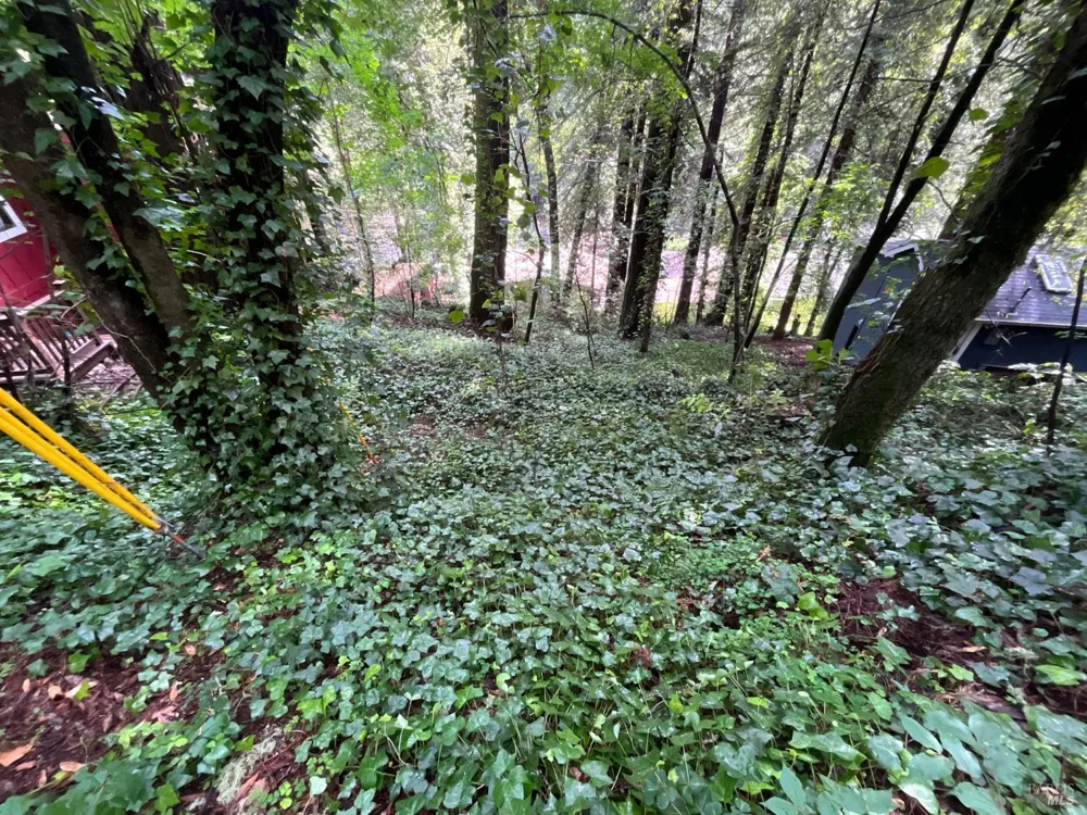 14712 Eagle Nest Lane Guerneville, CA 95446