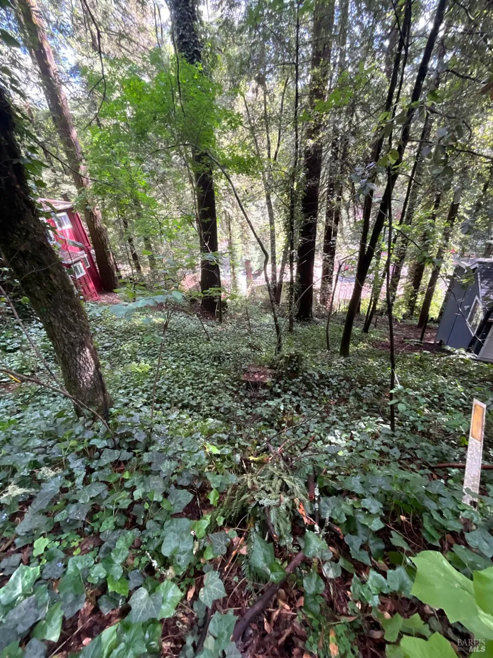 14712 Eagle Nest Lane Guerneville, CA 95446