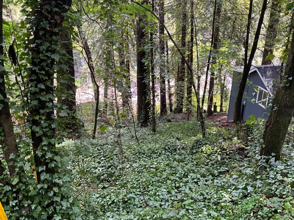 14712 Eagle Nest Lane Guerneville, CA 95446