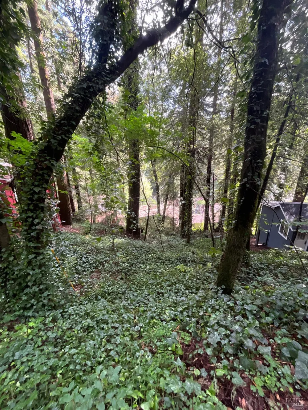 14712 Eagle Nest Lane Guerneville, CA 95446
