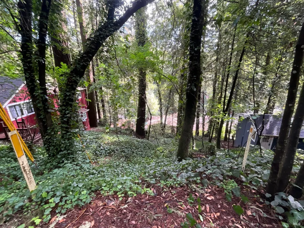 14712 Eagle Nest Lane Guerneville, CA 95446