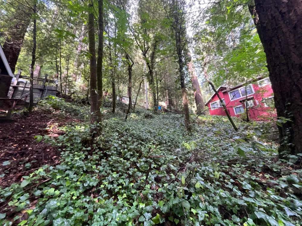 14712 Eagle Nest Lane Guerneville, CA 95446