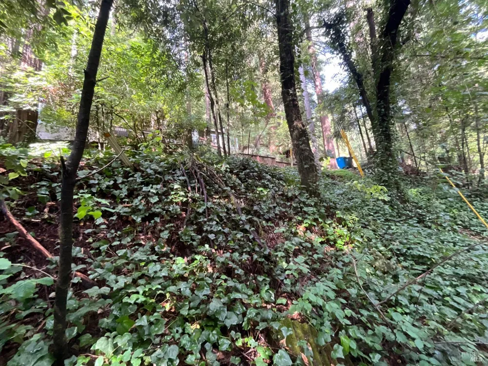 14712 Eagle Nest Lane Guerneville, CA 95446