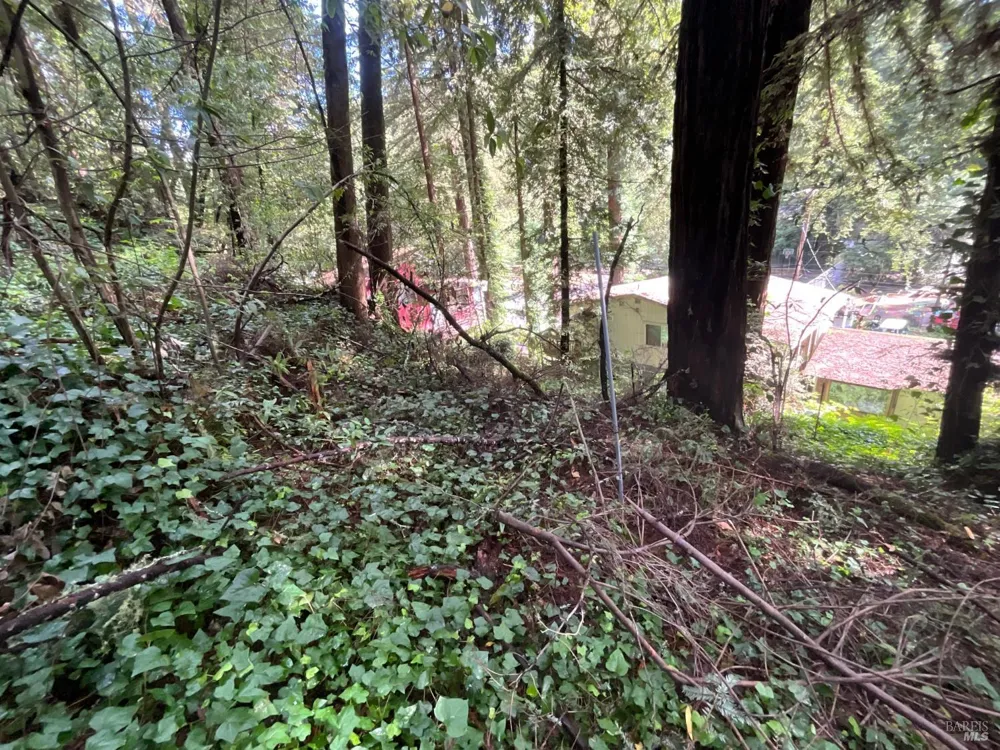 14712 Eagle Nest Lane Guerneville, CA 95446