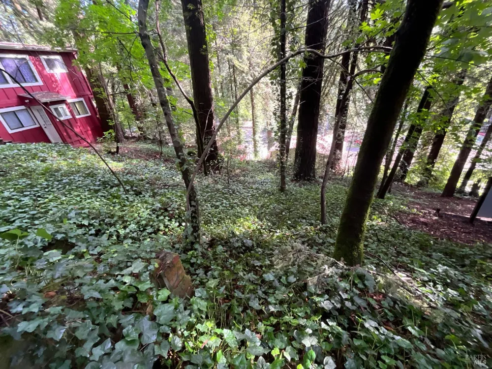 14712 Eagle Nest Lane Guerneville, CA 95446