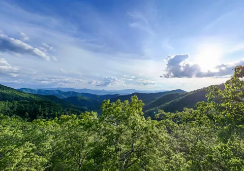 Falls View Dr