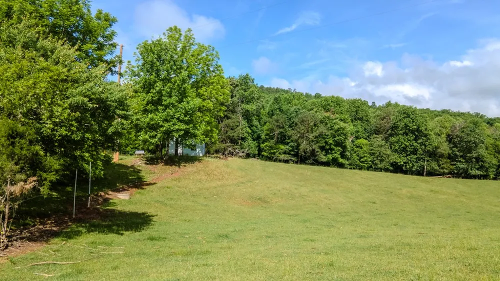 Ned Hill Road Franklin, NC 28734