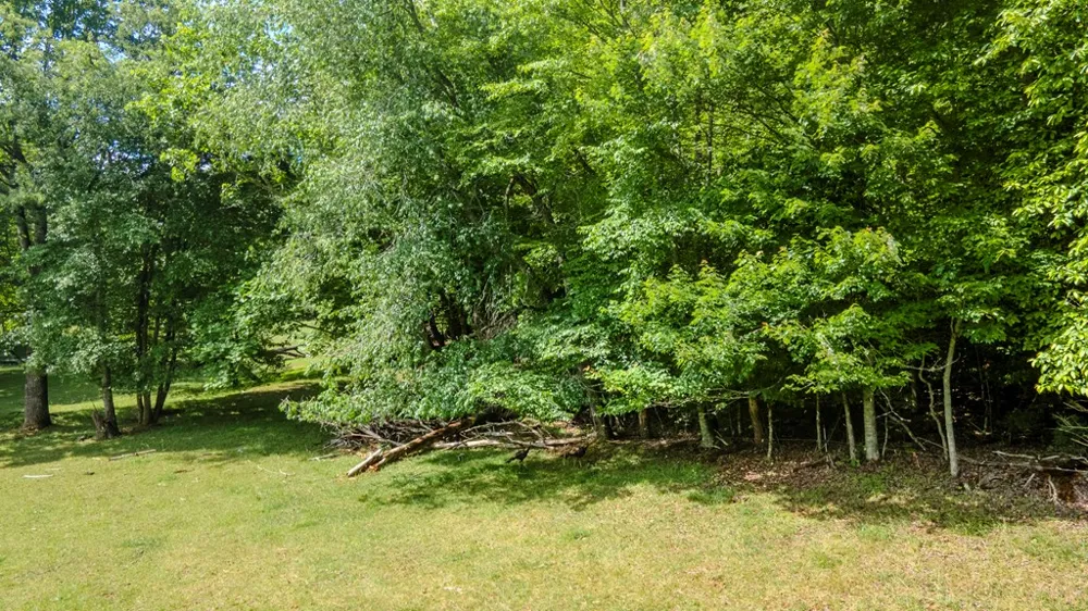 Ned Hill Road Franklin, NC 28734