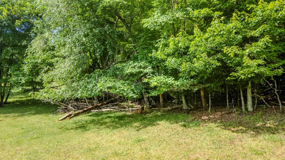 Ned Hill Road Franklin, NC 28734