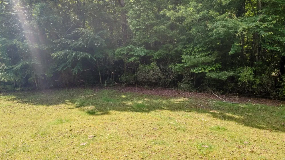 Ned Hill Road Franklin, NC 28734