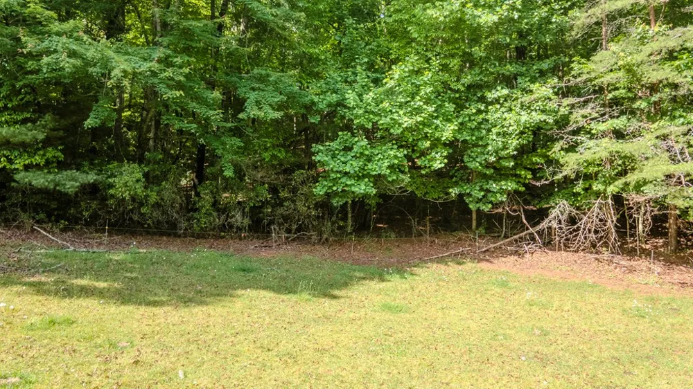 Ned Hill Road Franklin, NC 28734
