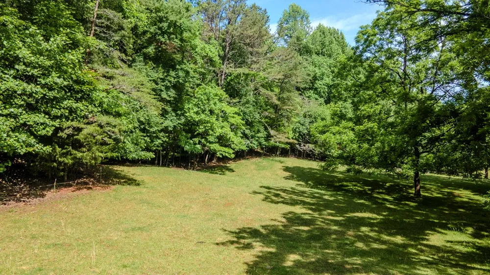 Ned Hill Road Franklin, NC 28734