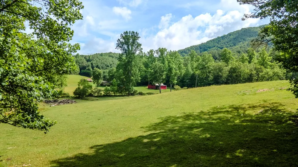 Ned Hill Road Franklin, NC 28734