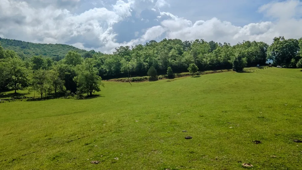 Ned Hill Road Franklin, NC 28734