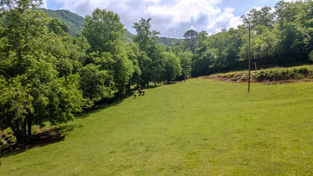 Ned Hill Road Franklin, NC 28734