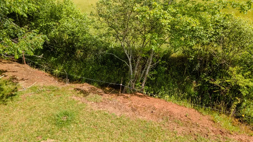 Ned Hill Road Franklin, NC 28734