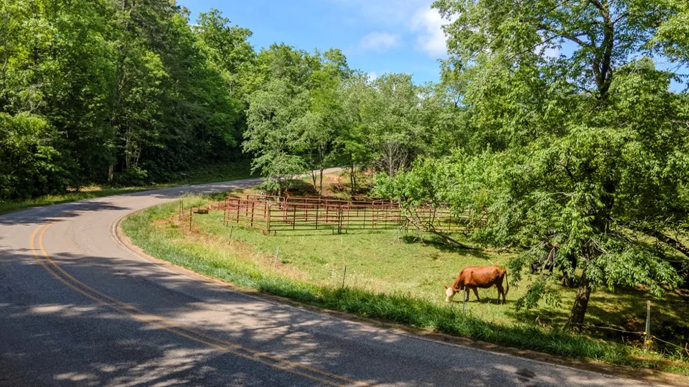 Ned Hill Road Franklin, NC 28734
