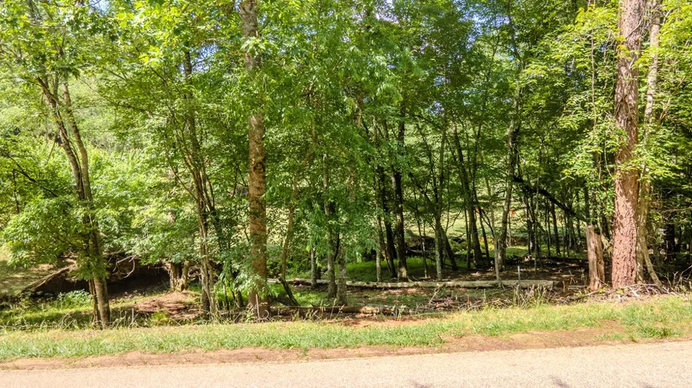 Ned Hill Road Franklin, NC 28734