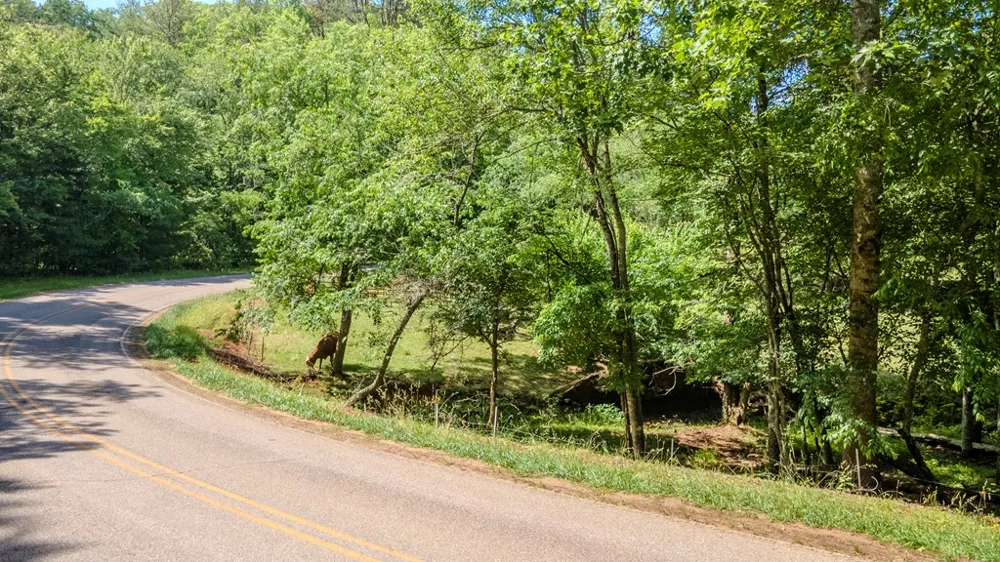 Ned Hill Road Franklin, NC 28734