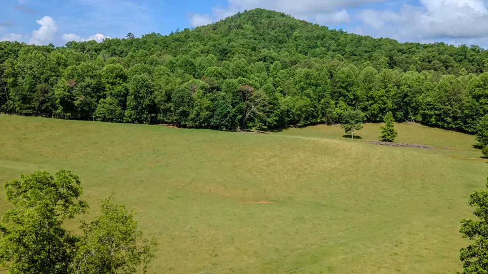 Ned Hill Road Franklin, NC 28734