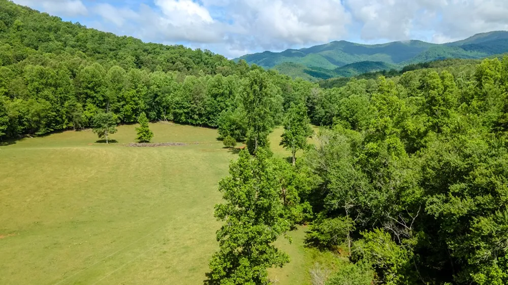 Ned Hill Road Franklin, NC 28734