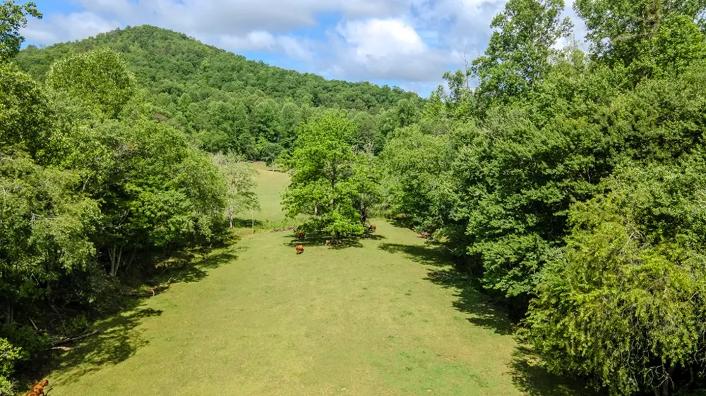 Ned Hill Road Franklin, NC 28734