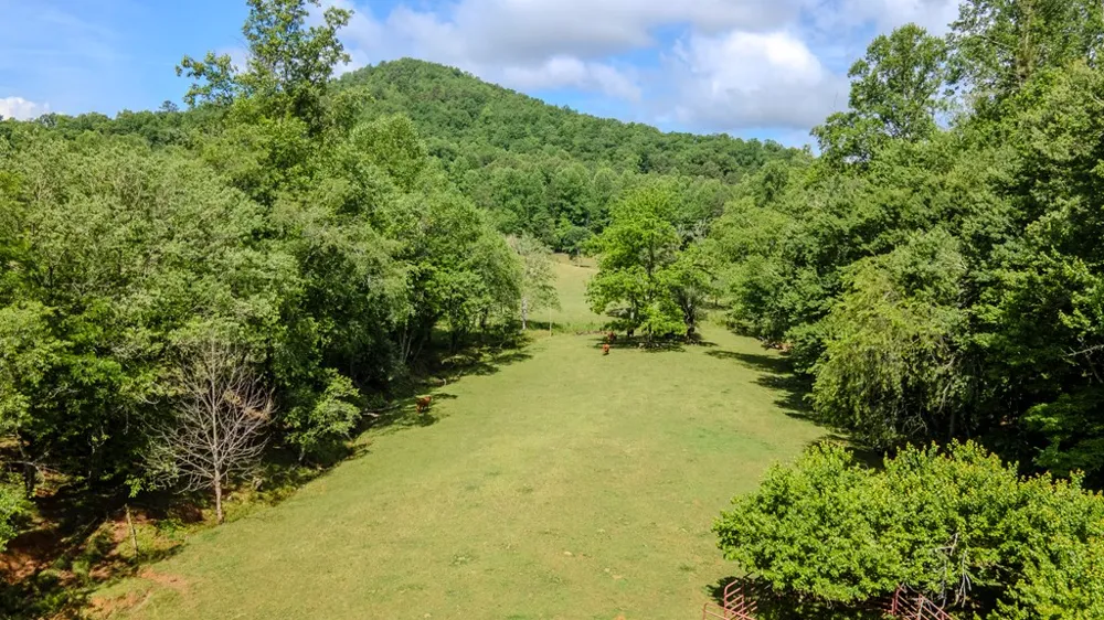 Ned Hill Road Franklin, NC 28734