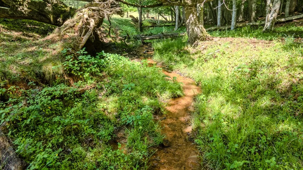 Ned Hill Road Franklin, NC 28734