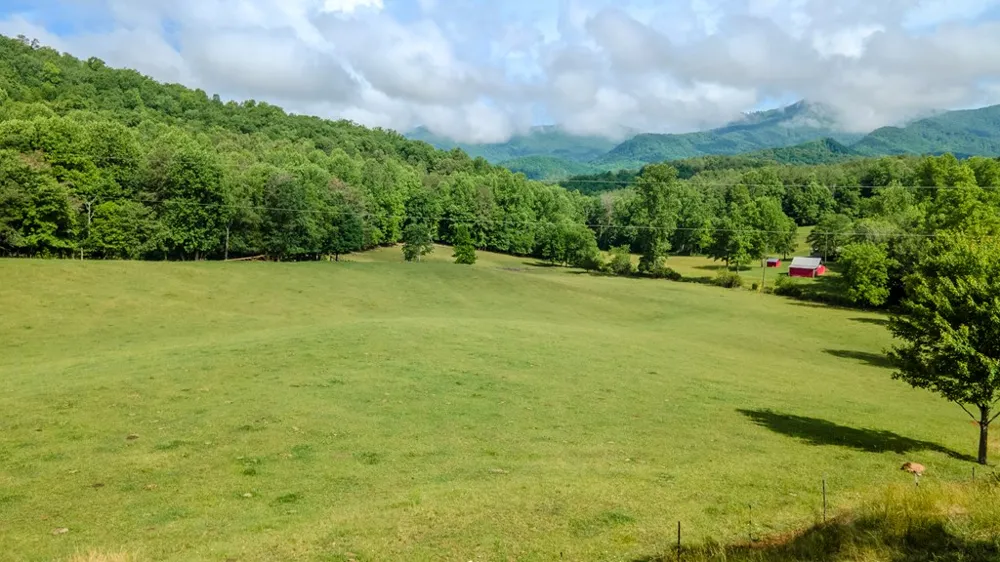 Ned Hill Road Franklin, NC 28734