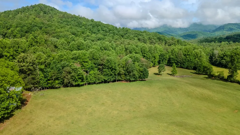 Ned Hill Road Franklin, NC 28734