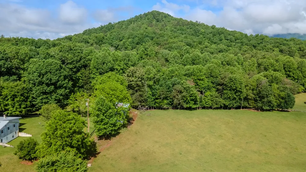 Ned Hill Road Franklin, NC 28734