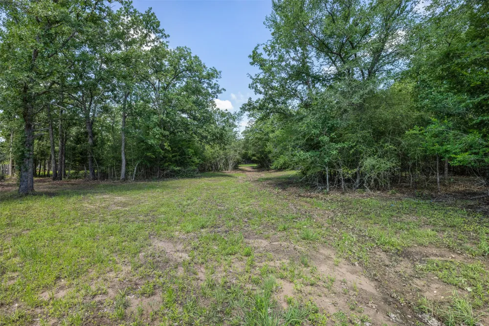 7132 Serenity Ranch Road Somerville, TX 77879