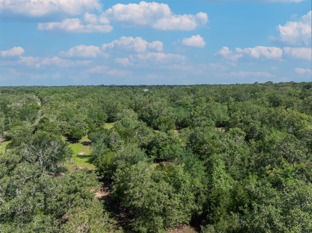 7132 Serenity Ranch Road Somerville, TX 77879