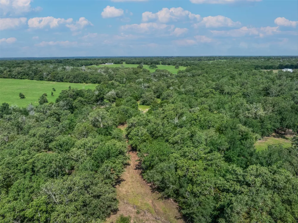 7132 Serenity Ranch Road Somerville, TX 77879