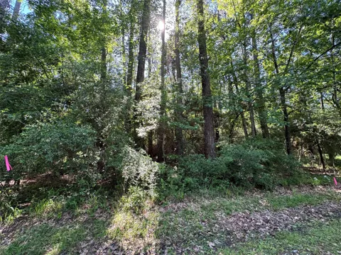16 Forrest Hollow