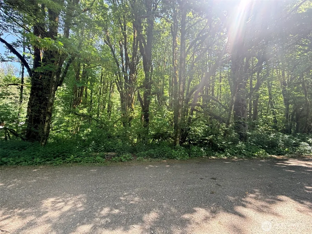 10204 Foss River Place NE Skykomish, WA 98288