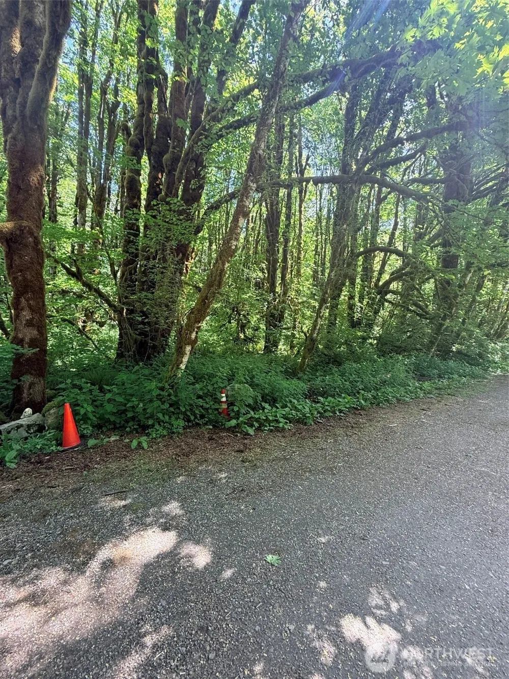 10204 Foss River Place NE Skykomish, WA 98288