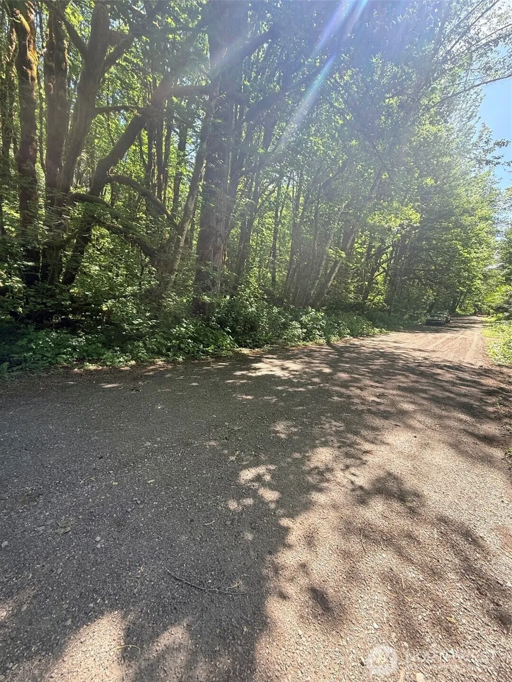 10204 Foss River Place NE Skykomish, WA 98288