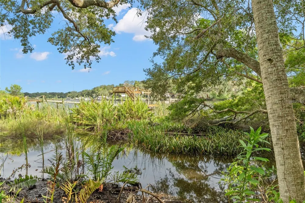 RIVERVIEW DRIVE Riverview, FL 33578