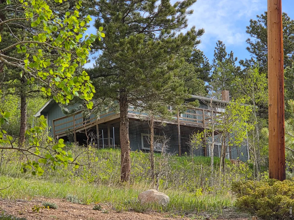 328 Skinner Road Allenspark, CO 80510