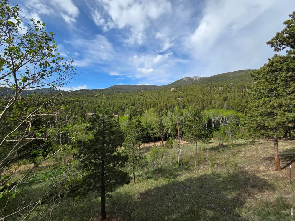 328 Skinner Road Allenspark, CO 80510