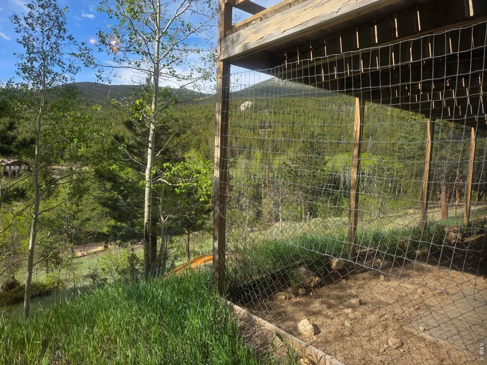 328 Skinner Road Allenspark, CO 80510