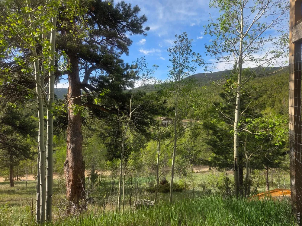 328 Skinner Road Allenspark, CO 80510