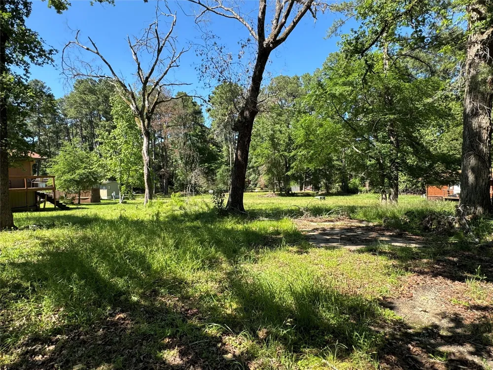 31 Whippoorwill Ln Trinity, TX 75862