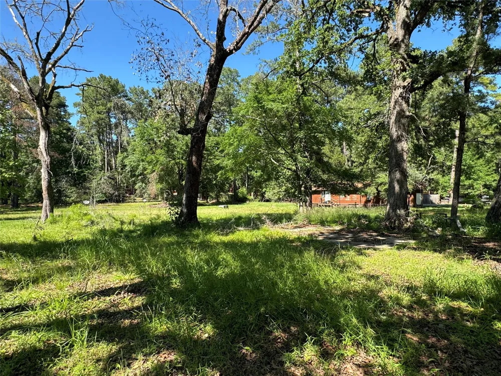31 Whippoorwill Ln Trinity, TX 75862