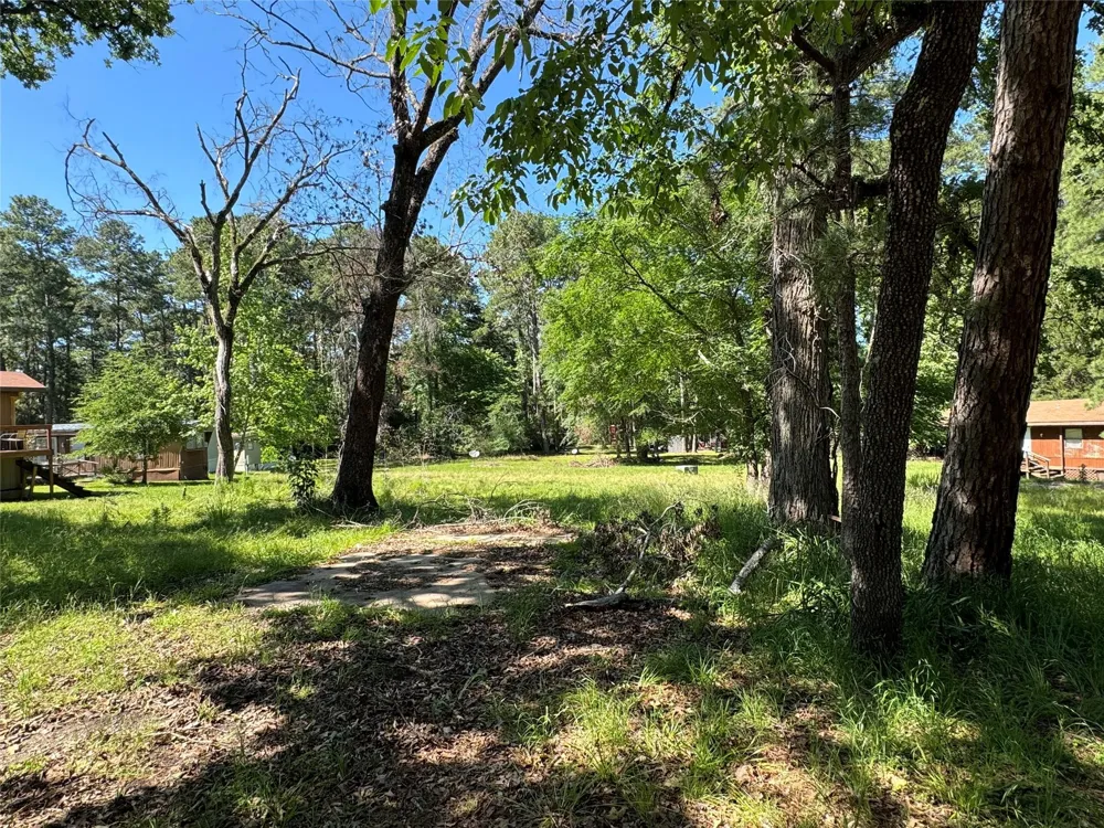 31 Whippoorwill Ln Trinity, TX 75862